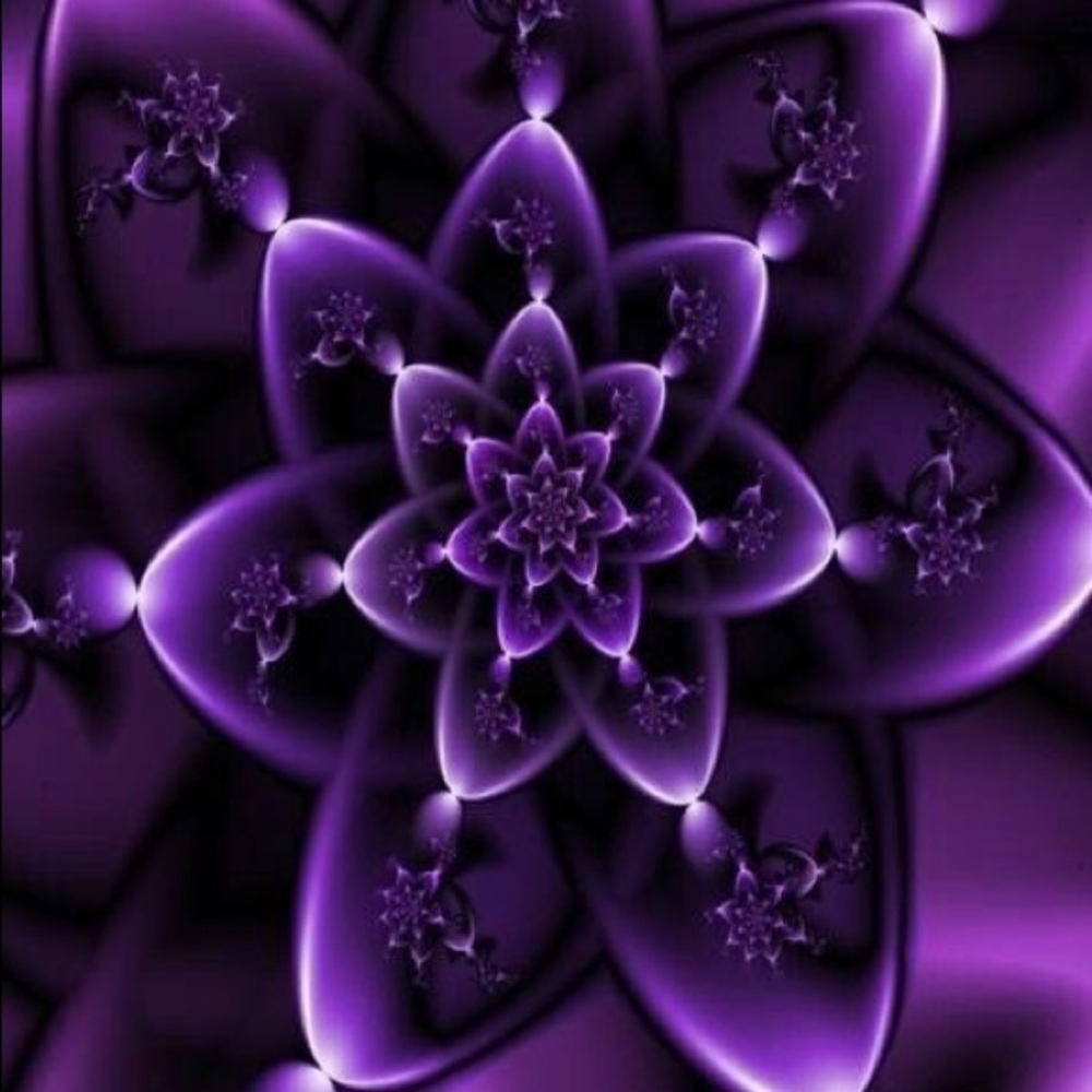 Meet your Posher, Joyce